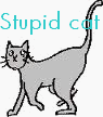 Stupid cat