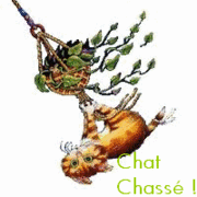 Chat Chassé